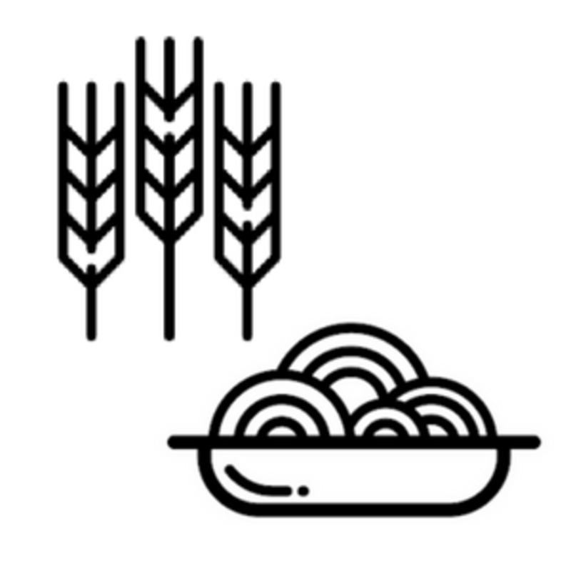 Studio Logo